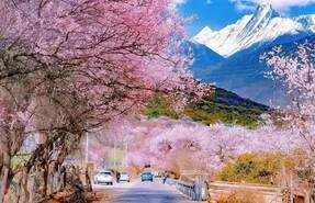 Nyingchi, Tibet: 4-Day Odyssey Through a Paradise of Natural Wonders