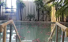 Mapangyongcuo Hot Spring Hotel