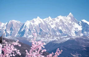 Seven Days in Tibet: Lhasa-Nyingchi-Yamdrok Lake-Karola Glacier