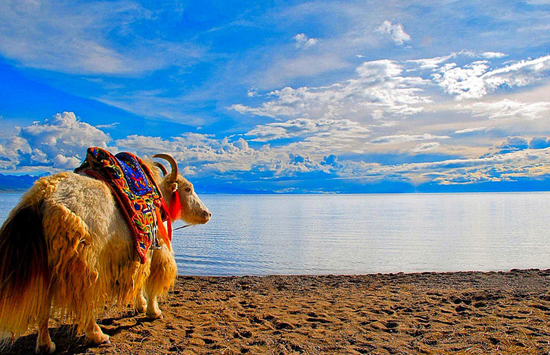 Namtso Lake