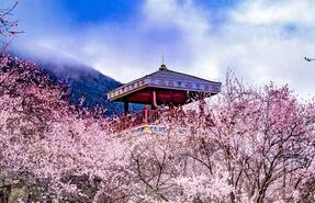 My 5-day Nyingchi Tour: A Spring Encounter with Peach Blossoms and Glaciers