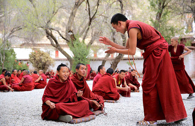 Sera Monastery Monk Debatingy