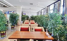 Tibet Ali Hotel