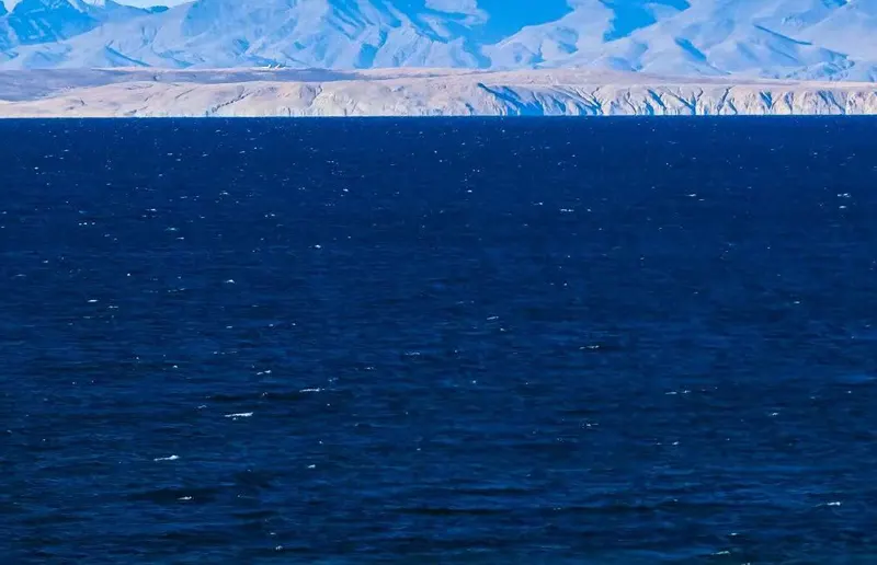 Lake Mansarovar weather in January