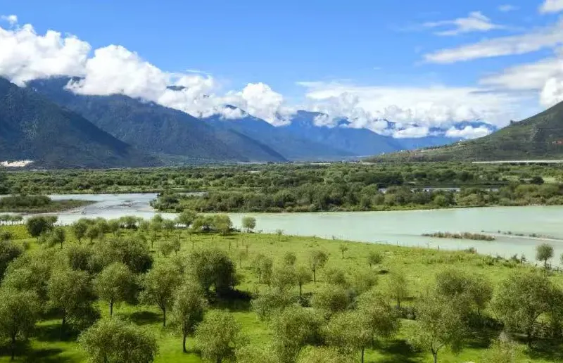 Nyingchi in August