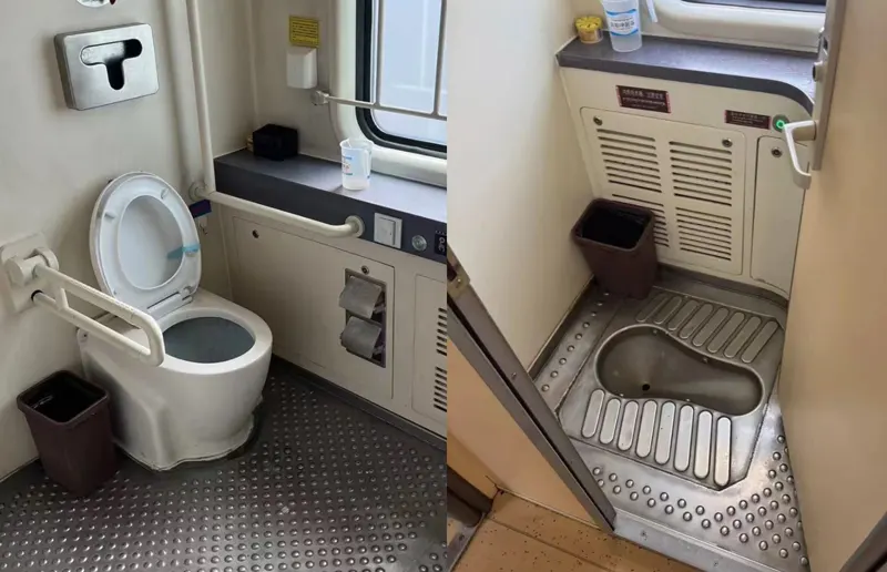 Western vs. Asian Squat Toilets