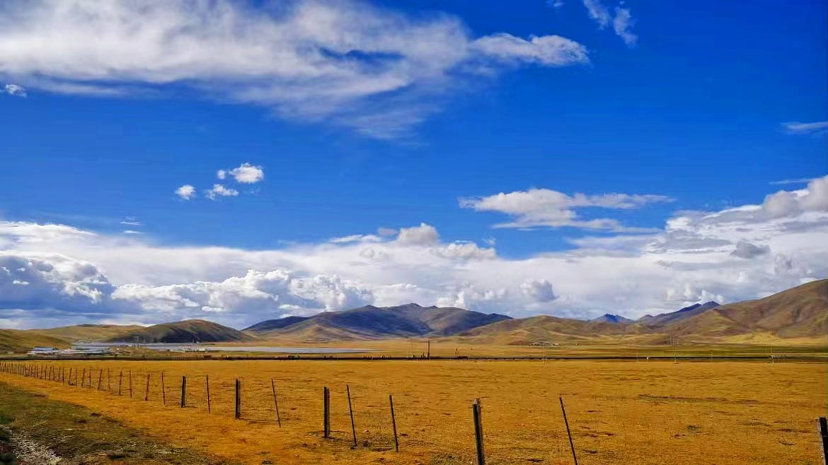 Bangda Grassland
