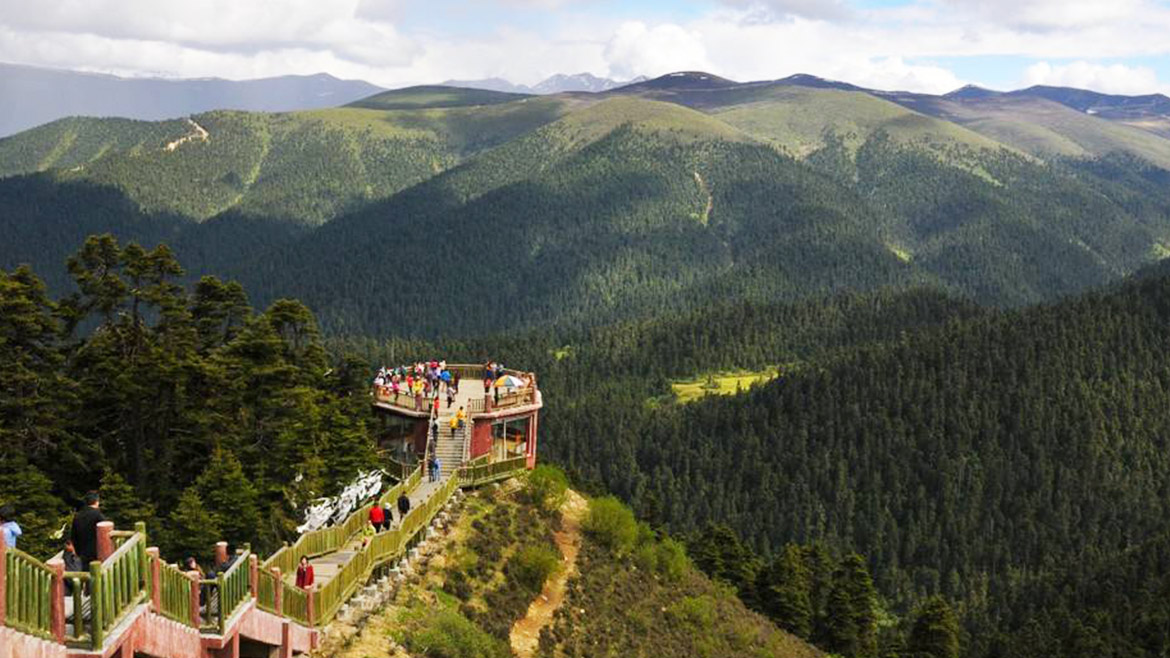 Lulang Forest Viewing Platform