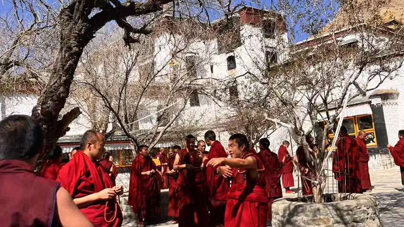 Monks of Sera Monastery