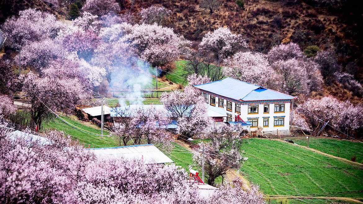 Gala Peach Blossom Village