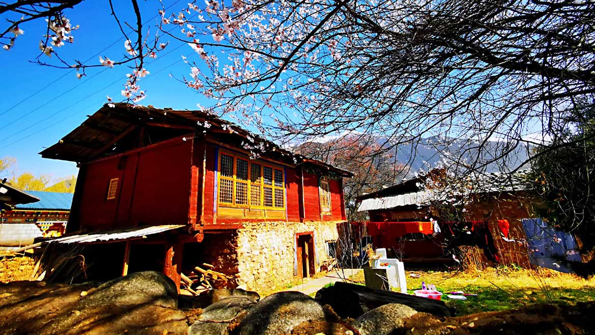 Nyingchi Peach Blossom Festival