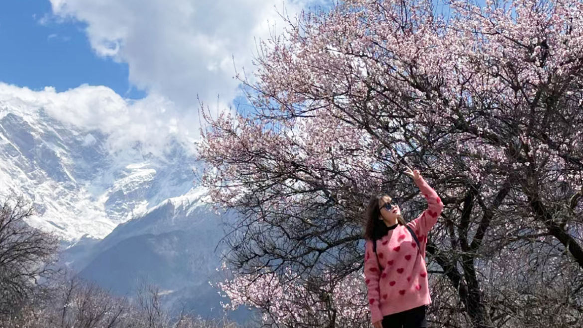 Nyingchi Peach Blossom Festival
