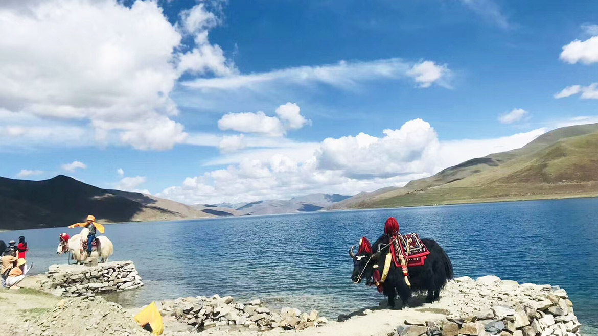 Yamdrok Lake
