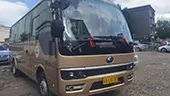 19-Seater Toyota Coaster Appreance