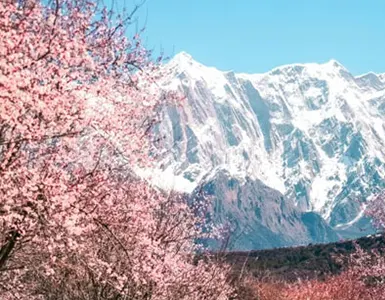 Tibet Tour in March