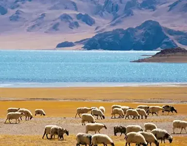 Tibet Tour in October