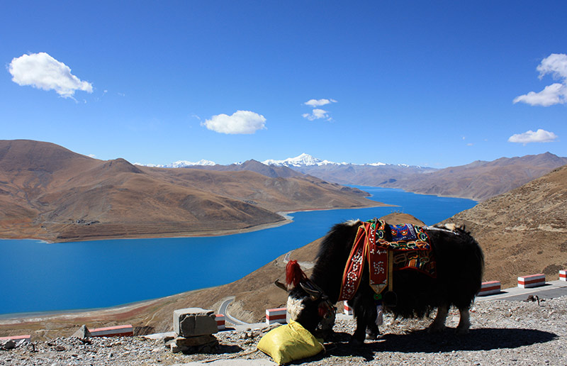 Forge Deep Connection with Tibet’s Heritage in 5-Day Lhasa Yamdrok Trip