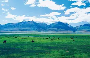Nagqu Grassland