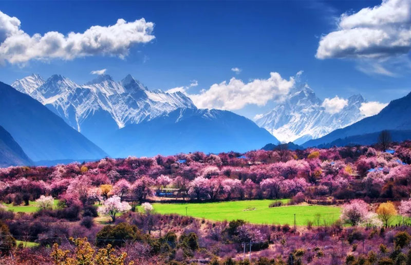 Nyingchi in Spring