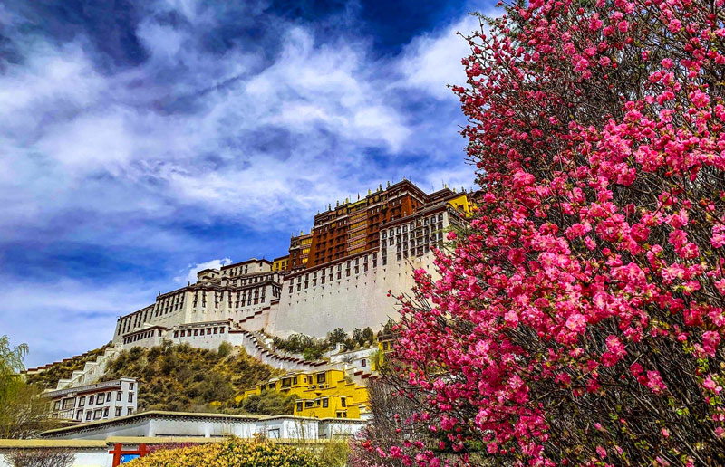 Lhasa in Spring